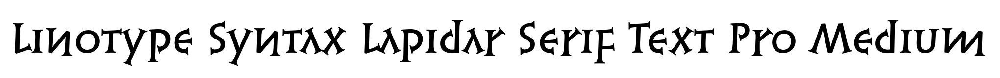 Linotype Syntax Lapidar Serif Text Pro Medium image